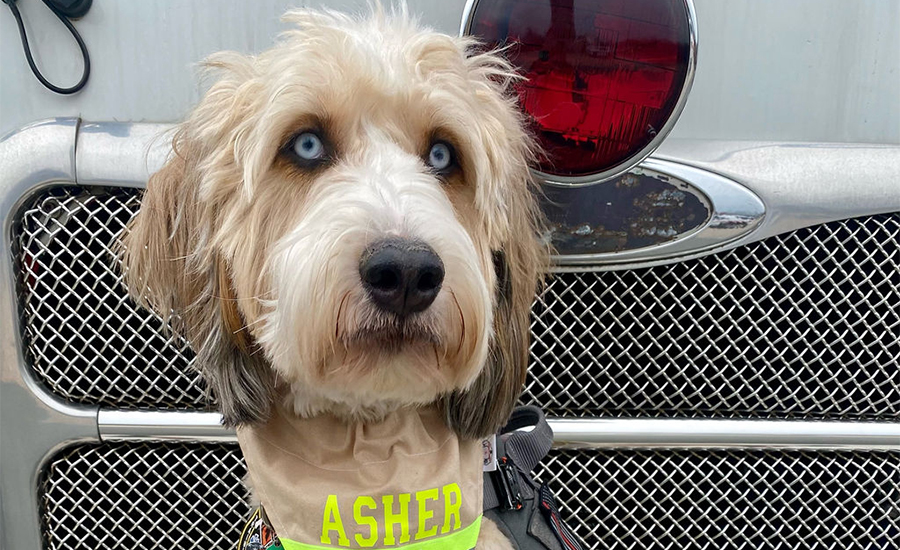 Asher